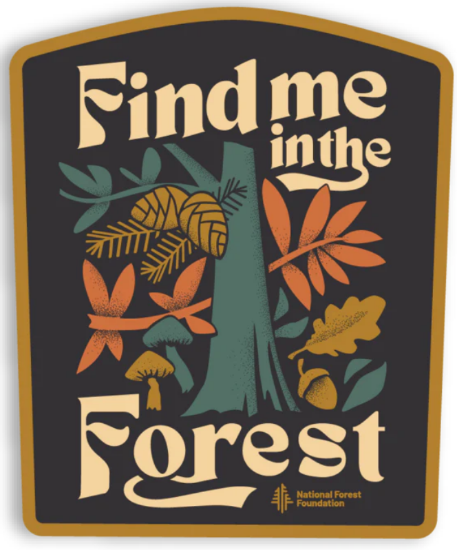 Find Me in the Forest