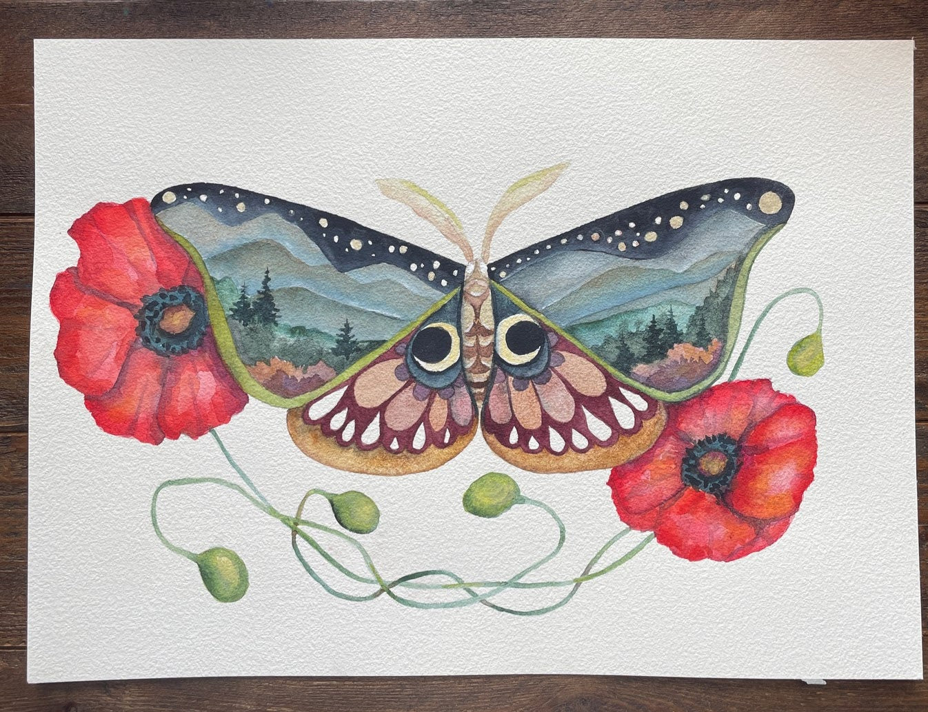 Poppies and Wings by Kat Ryalls