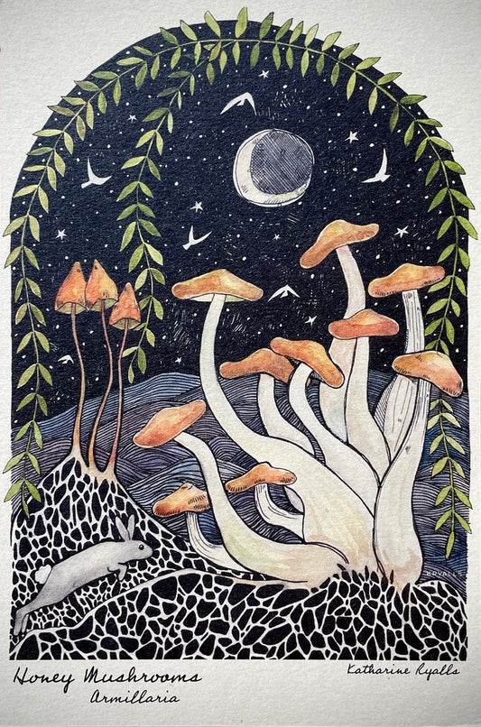 Honey Mushroom by Kat Ryalls