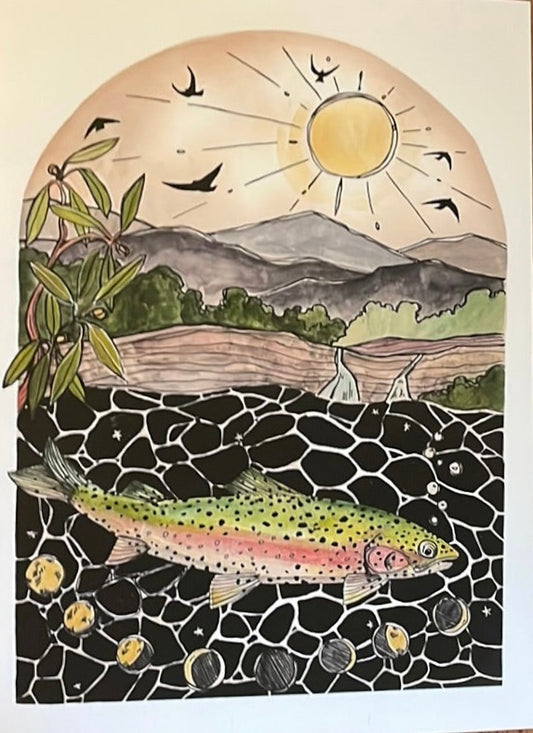 Rainbow Trout by Kat Ryalls