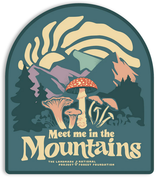 Meet Me In The Mountains