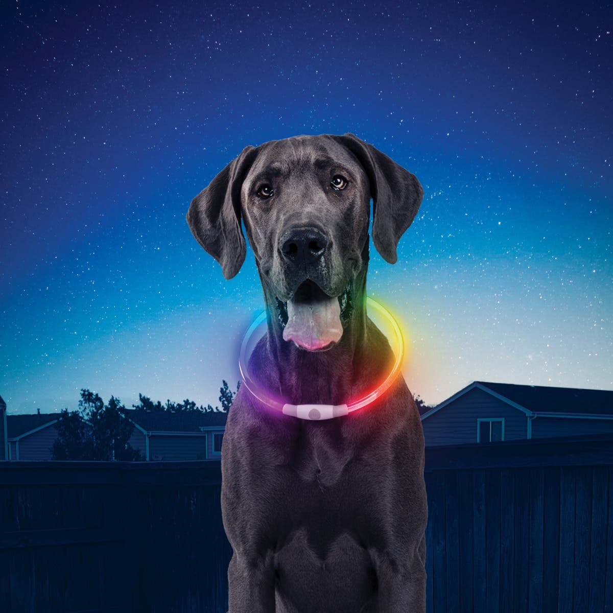 NiteHowl
