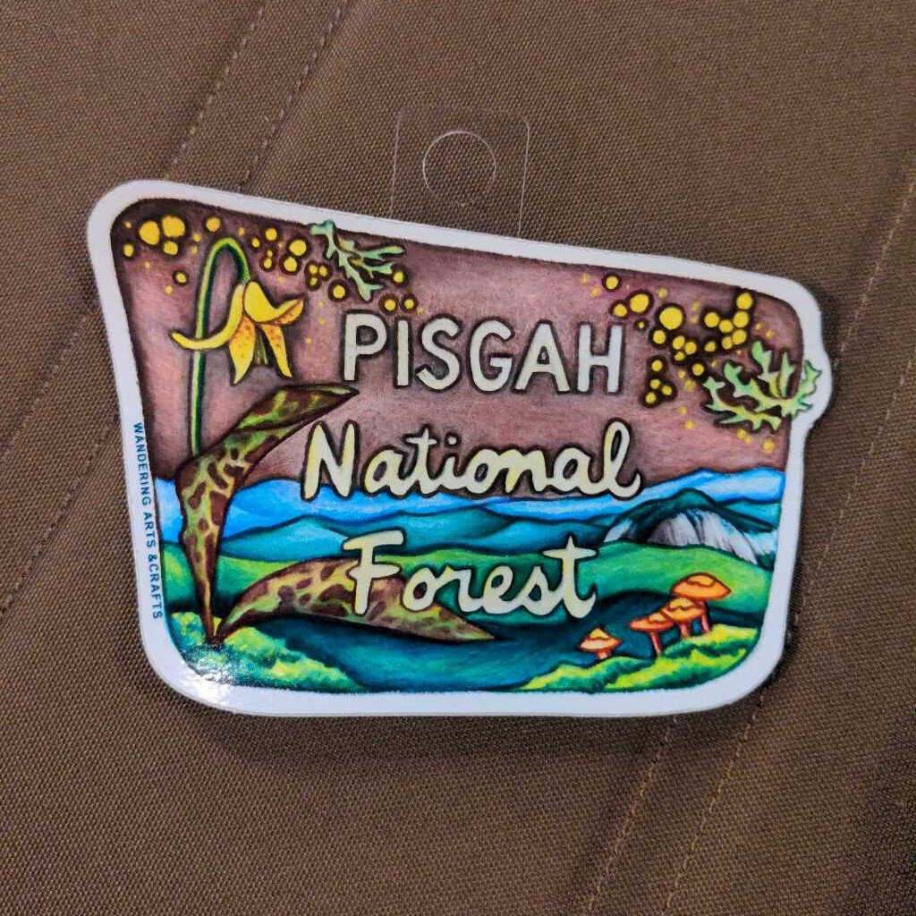 Pisgah NF Sign