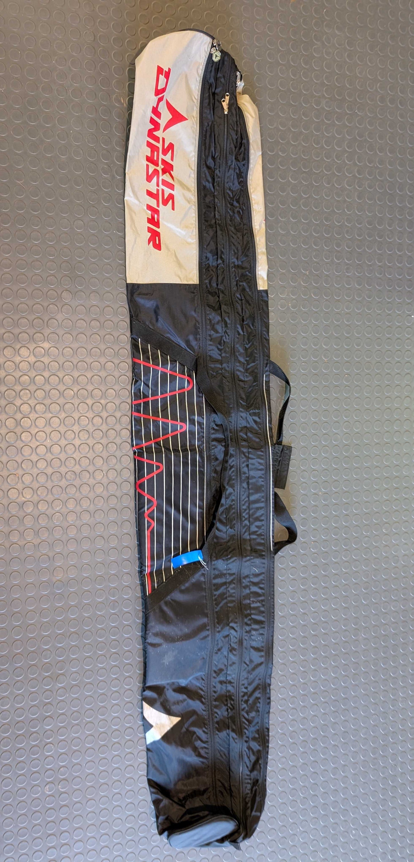 Ski Bag
