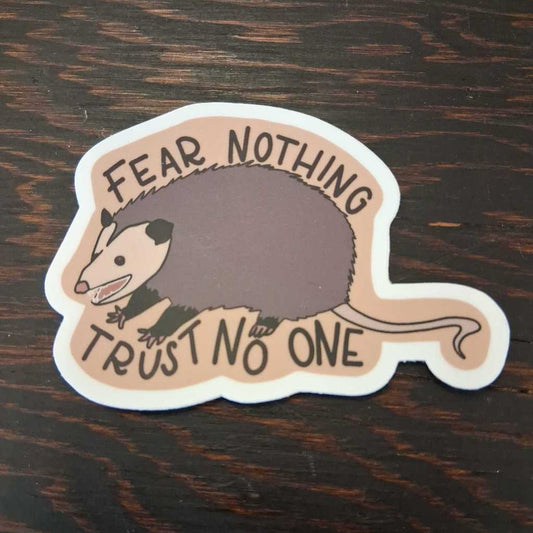 Possum - Fear Nothing